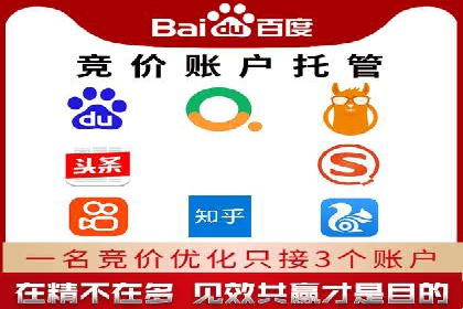 成功案例解析：SEM竞价托管助力企业品牌升级